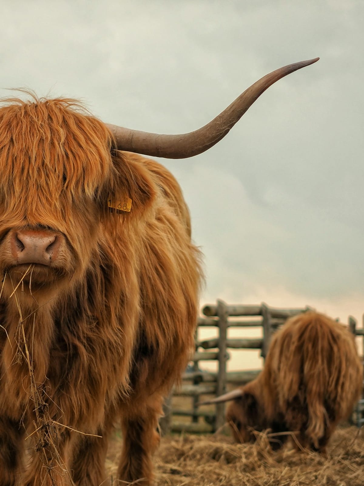 Epic Scotland — Private Package 11-day tour: The complete Scottish circuit — Edinburgh to Stirling via Speyside, Skye, Glencoe, and the Castle Trail.