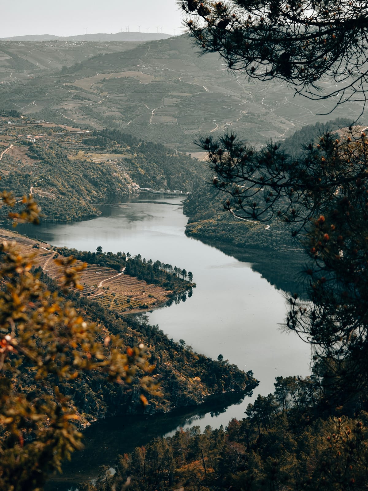 North of Portugal — Private Package 9-day tour: Lisbon, Sintra, Coimbra, Douro Valley & Porto